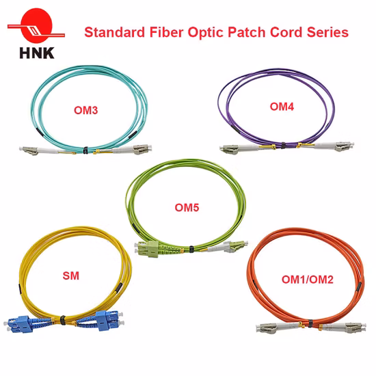 Indoor Sc/LC/FC/St/E2000/Mu Armoured Fiber Optic Armored Patch Cord