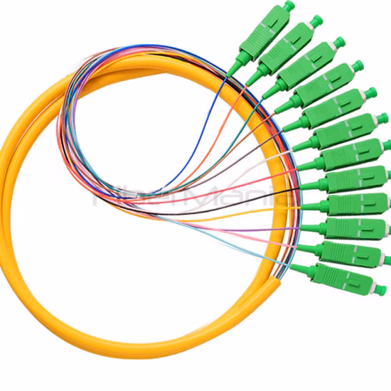 APC Fiber Optic Pigtails Coated PC Sc Multimode Pigtails Sc 50/125 62.5/125 Sm Fiber Optic 12 Cores Pigtail